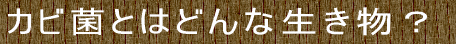 JrۂƂ͂ǂȐH